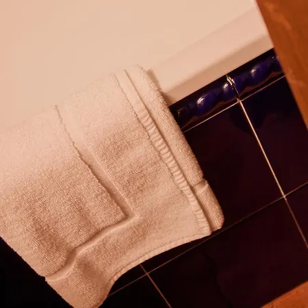 La Casa Del Organista 3* Santillana del Mar